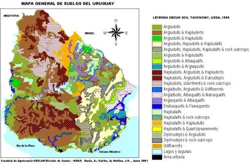 Tipos de mapas