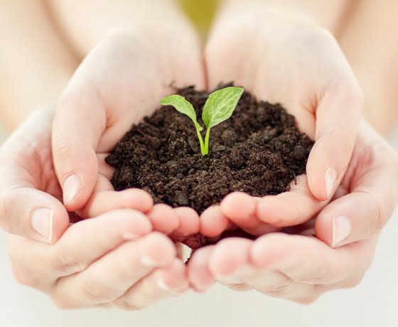 altruista medio ambiente