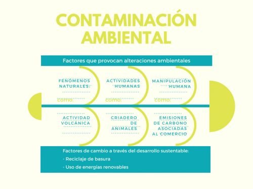 contaminacion-ambiental-mapa-conceptual_bg