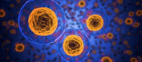 fenómeno biológico