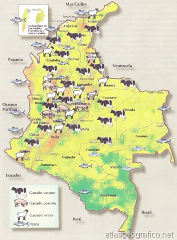 Tipos de mapas