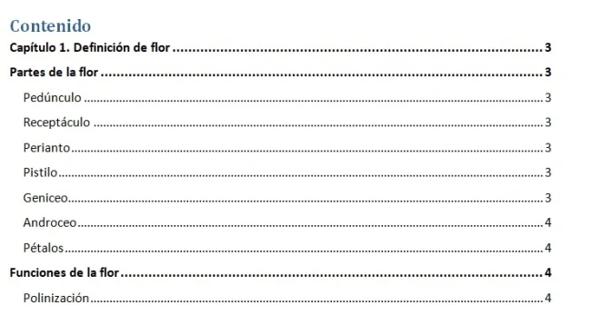 Indeks: co to jest, jak to się robi, przykłady - Znaczenia ndice-de-contenidos-70