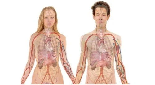 woman-254133-960-720_bg